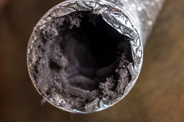 Best Duct Repair and Sealing Services in Madison, MN